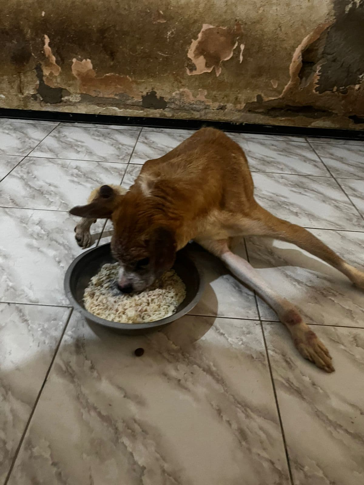 Foto do relatório Repasse da Prefeitura de março/2026